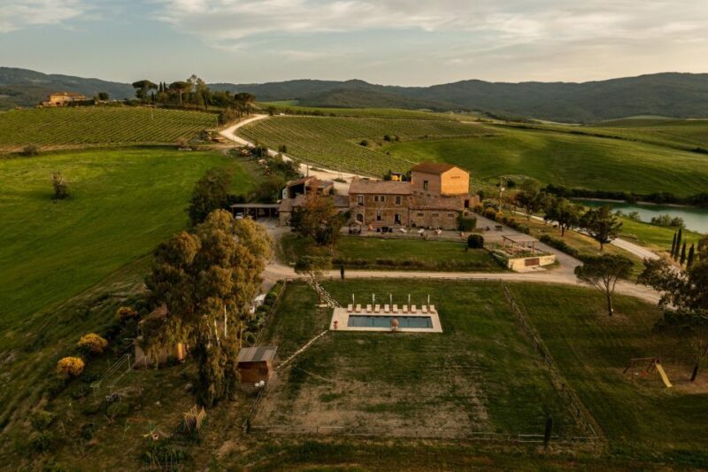 Montalcino: Vineyard Picnic with Rosso di Montalcino Wine - The Experience Provider