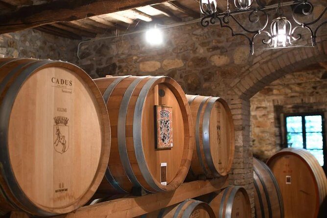 Montalcino wine tour - What We Love About the Experience