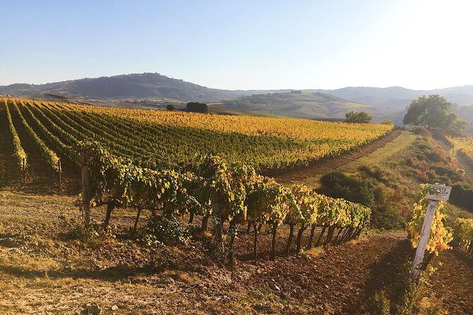 Montalcino wine tour - FAQ