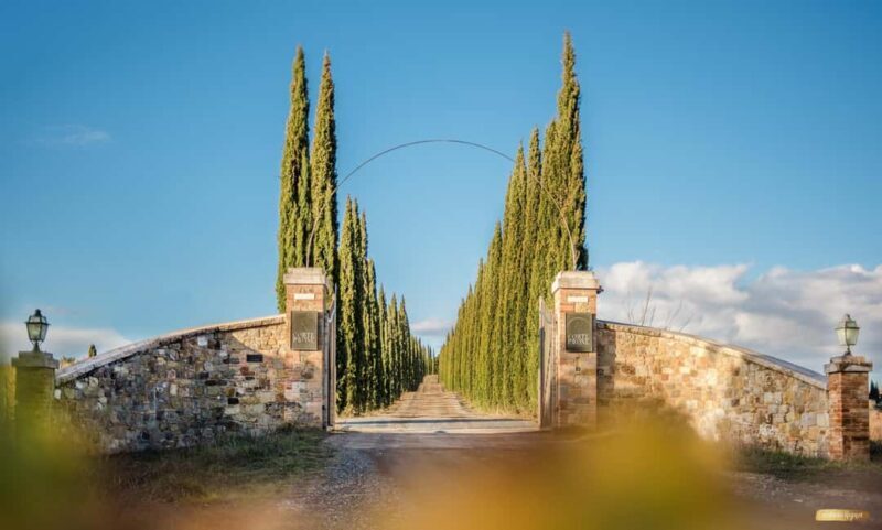 Montalcino: Winery Tour & Gourmet Brunello Vertical Tasting - Who Is This Tour Best Suited For?