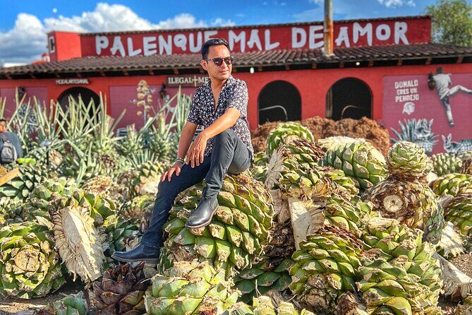 Monte Alban, Alebrijes, Mezcal, Teotitlan and Tule Tree Tour - Final Thoughts