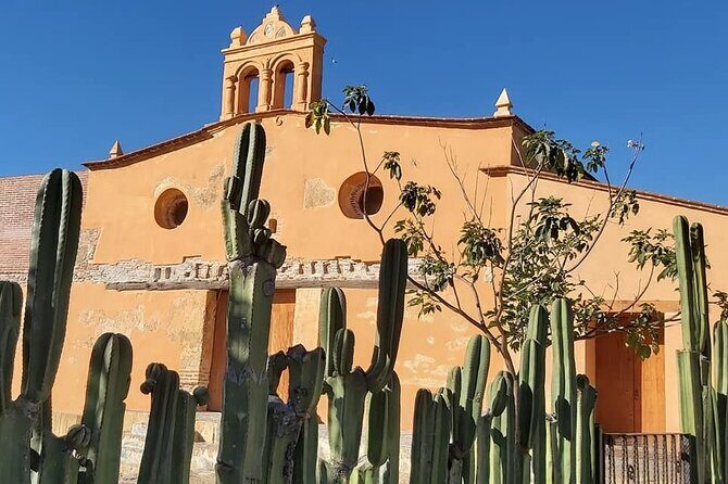 Monte Albán Bike Tour: history, culture and scenery. - Who Is This Tour Best For?