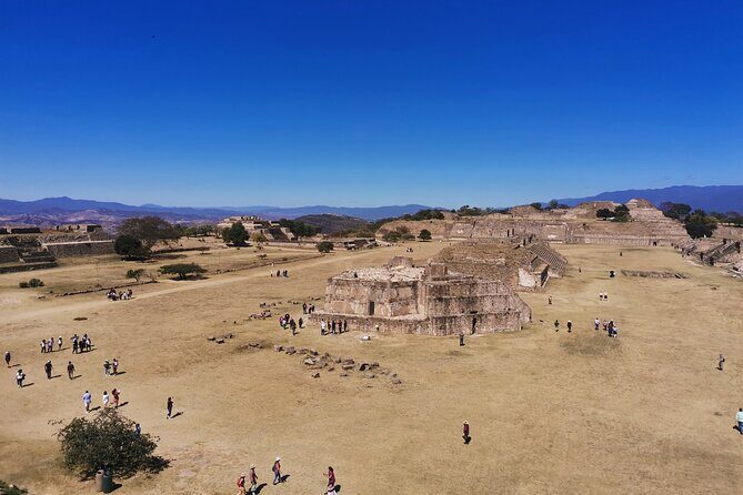 Monte Alban - Full Day Guided Tour with or without Food - Oaxaca - The Real Value of This Tour