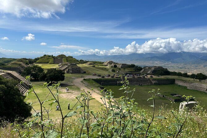 Monte Albán, Hierve el Agua, Mezcal distillery & Teotitlán rugs - In-Depth Look at the Tour Experience