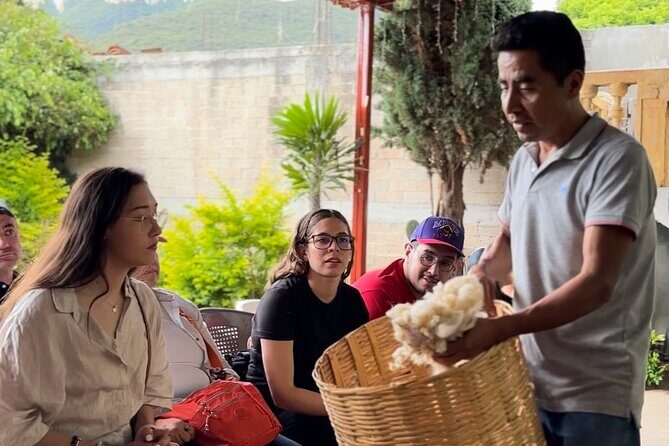 Monte Alban, Mezcal factory, chocolate and artisan houses - Who Will Love This Tour?