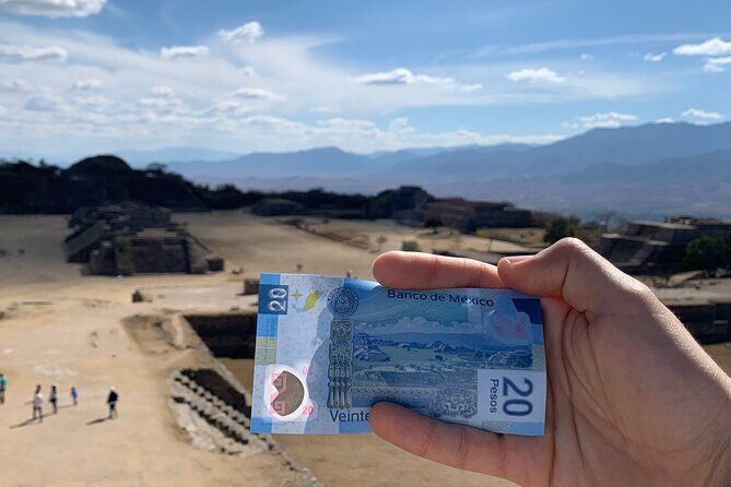 Monte Albán Morning Half-Day Tour Small Group, Transport & Guide - Key Points