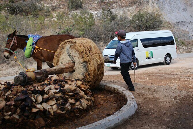 Monte Alban, Teotitlan and Mezcal Tour - Mezcal Tasting: A Flavourful Finish