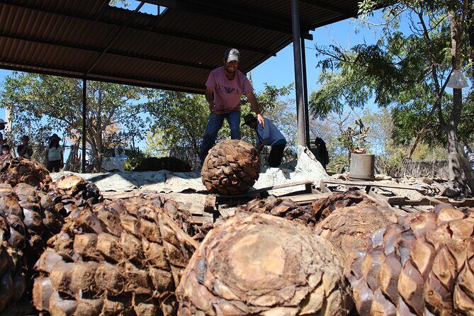 Monte Alban, Teotitlan and Mezcal Tour - Who Will Love This Tour?