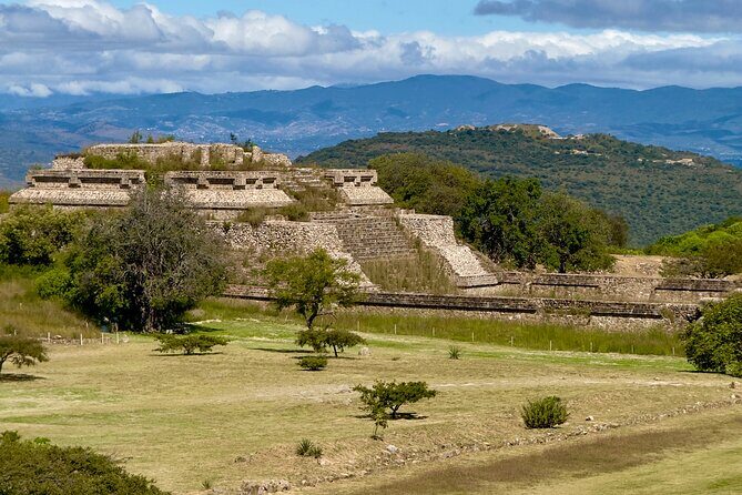 Monte Alban Tree of the Tule Mezcal and Teotitlan del Valle Tour - Key Points