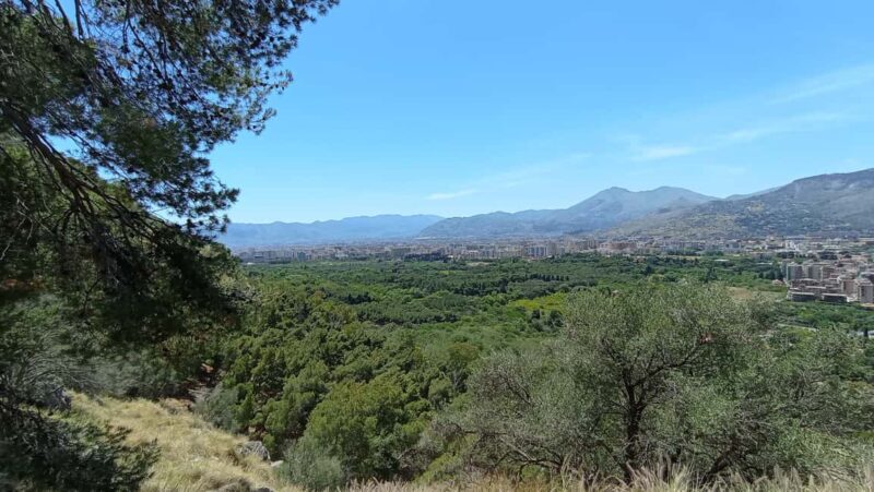 Monte Pellegrino: a full exploration with a true "Naturalist" - Key Points