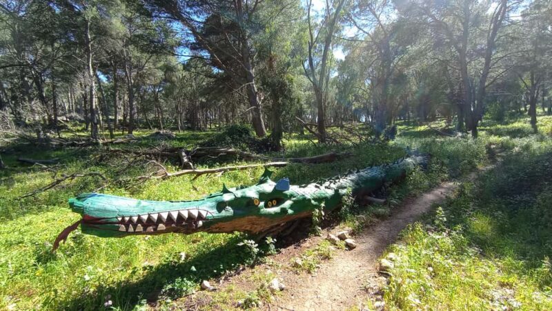 Monte Pellegrino: a full exploration with a true "Naturalist" - FAQs