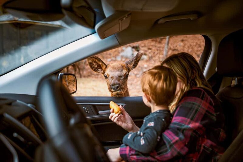 Montebello, QC: General Admission to Parc Omega - Frequently Asked Questions