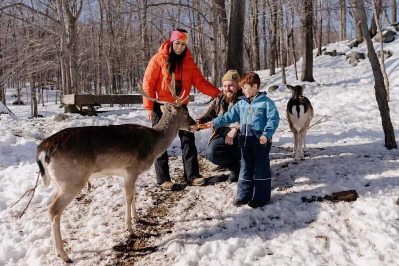 Montebello, QC: Morning VIP Tour at Parc Oméga - Key Points