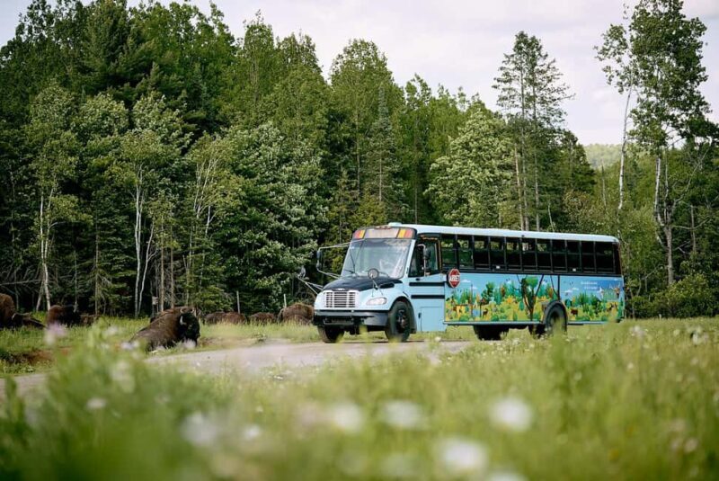 Montebello, QC: Morning VIP Tour at Parc Oméga - What to Expect on the Tour