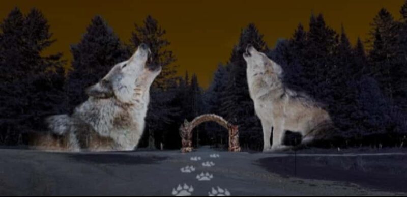 Montebello, QC: Omega Park ONIRO Immersive Experience at Night - Key Points