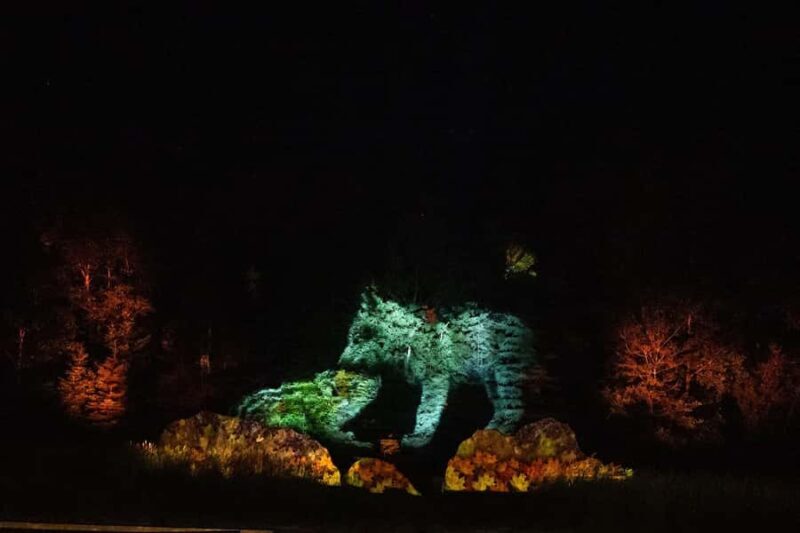 Montebello, QC: Omega Park ONIRO Immersive Experience at Night - The Experience’s Drawbacks