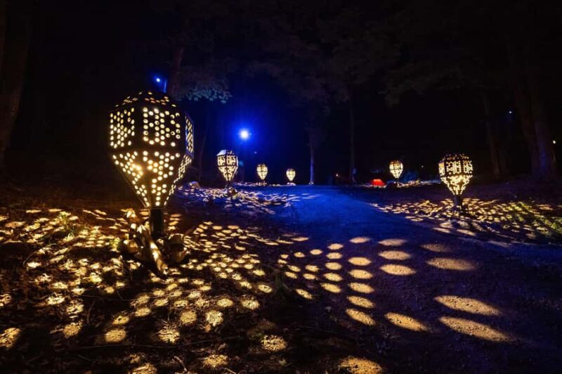 Montebello, QC: Omega Park ONIRO Immersive Experience at Night - Who Should Consider This Tour?