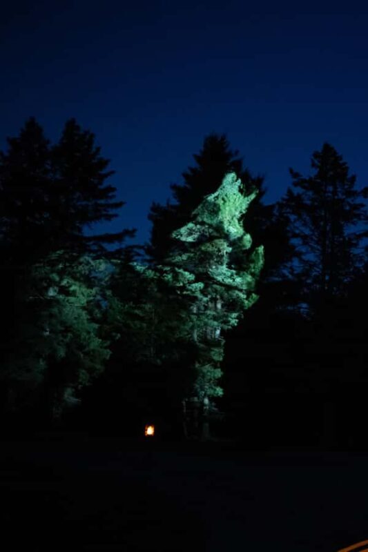 Montebello, QC: Omega Park ONIRO Immersive Experience at Night - Final Thoughts