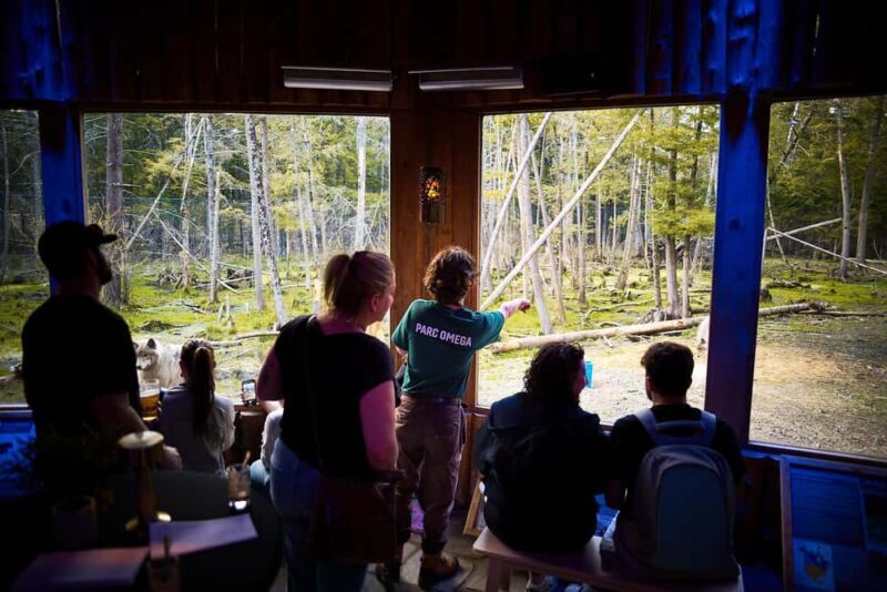 Montebello, QC: Parc Omega Wolves Experience with Cocktail & Guide - The Cocktail & Dinner Aspect