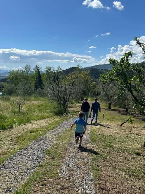 Montecatini Alto: Gourmet picnic among olive trees with EVO oil pairing - A Taste of Tuscany: Gourmet Picnic Among Olive Trees and EVO Oil Pairing