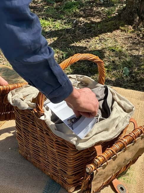 Montecatini Alto: Gourmet picnic among olive trees with EVO oil pairing - Key Points