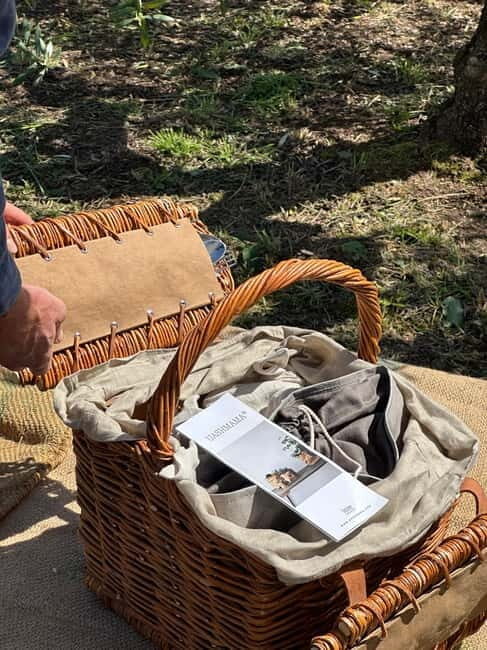 Montecatini Alto: Gourmet picnic among olive trees with EVO oil pairing - Practical Details & Considerations