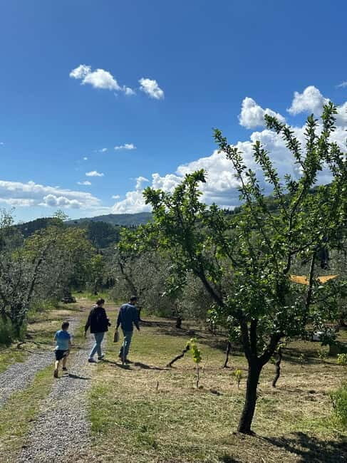 Montecatini Alto: Gourmet picnic among olive trees with EVO oil pairing - What Do The Reviews Say?