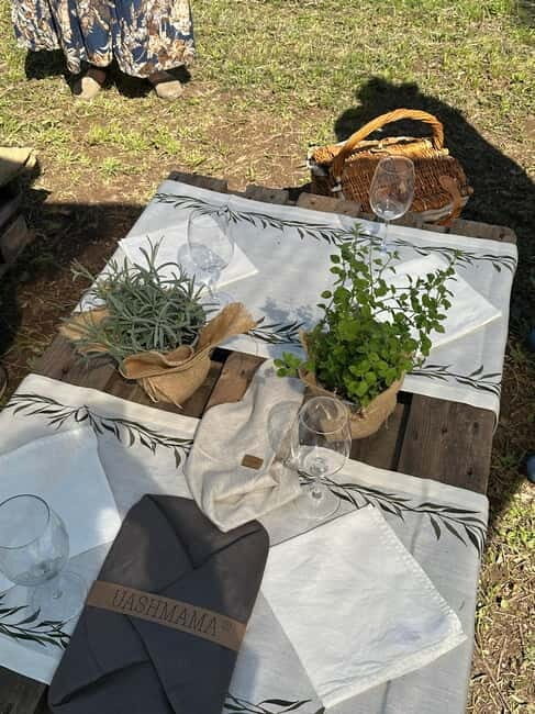 Montecatini Alto: Gourmet picnic among olive trees with EVO oil pairing - Who Is This Tour Best For?