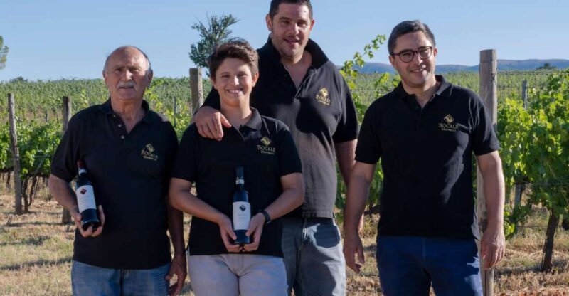 Montefalco: Winery and Vineyard Tour and Private Tasting - What to Expect from the Tour