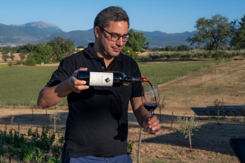 Montefalco: Winery and Vineyard Tour and Private Tasting - FAQ