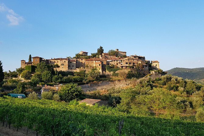 Montefioralle Winery - Tour and Wine Tasting in Chianti - FAQs
