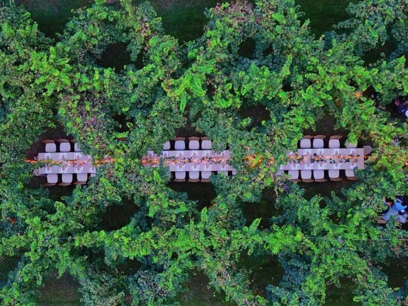 Montello: Wine, Cheese, and Honey Tasting at the Farm - Key Points