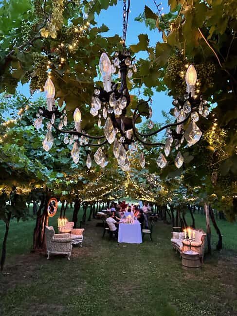 Montello: Wine, Cheese, and Honey Tasting at the Farm - The Value of this Experience