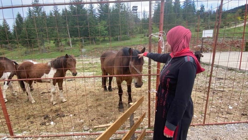 Montenegro Black Lake-Durmitor, Tara (kanyon ,river, bridge) - A Closer Look at the Montenegro North Tour