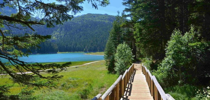 Montenegro Canyons day trip from Herceg Novi - Details on Transport, Timing, and Group Size