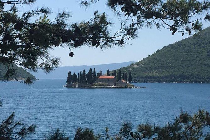 Montenegro Coast Private Day Trip from Dubrovnik - The Experience: Pros and Cons