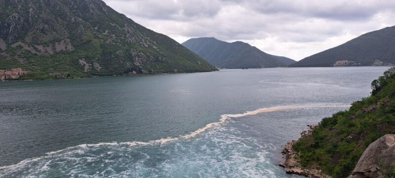 Montenegro Full-Day Trip from Dubrovnik - Scenic Drive and Final Thoughts