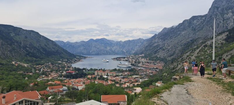 Montenegro Full-Day Trip from Dubrovnik - Who Should Consider This Tour?