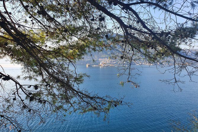 Montenegro Private Tour - The Route and First Stop: Bay of Kotor
