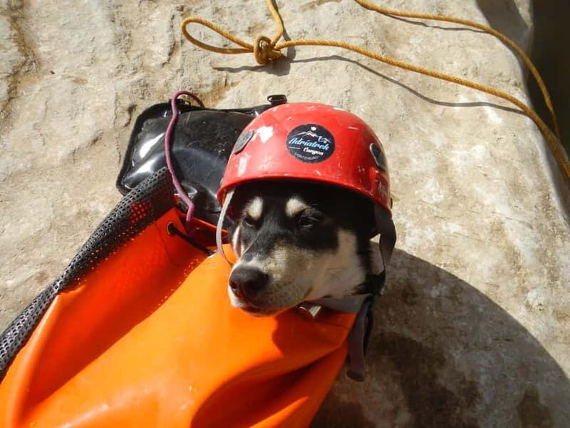 Montenegro: Rikavac and Meureki Family Canyoning Adventure - Final Thoughts