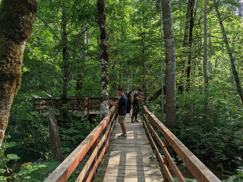 Montenegro Tour by train  Private tour - Who Should Consider This Tour?