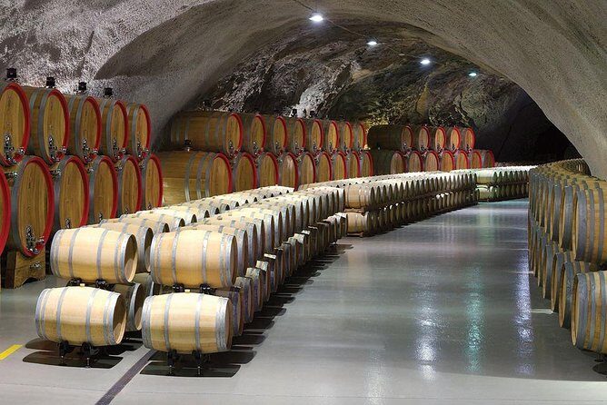 Montenegro wine tasting (Private tour) - The Itinerary: A Step-by-Step Breakdown