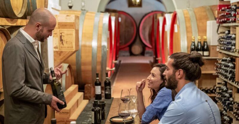 Montepulciano: Guided Winery Tour with Tasting & Appetizers - Introduction