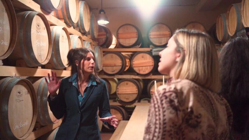 Montepulciano, Montalcino, Cortona - Small Group Day Trip - The Practical Side: Cost, Duration, and Accessibility