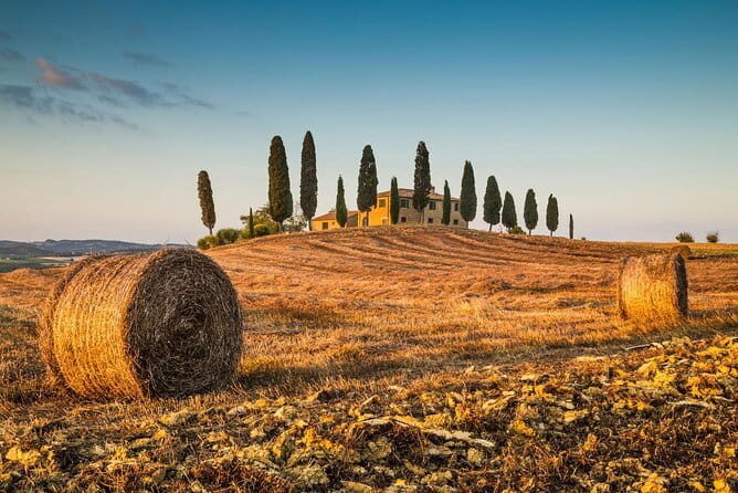 Montepulciano, Montalcino, Pienza from Florence - What’s the Experience Like?