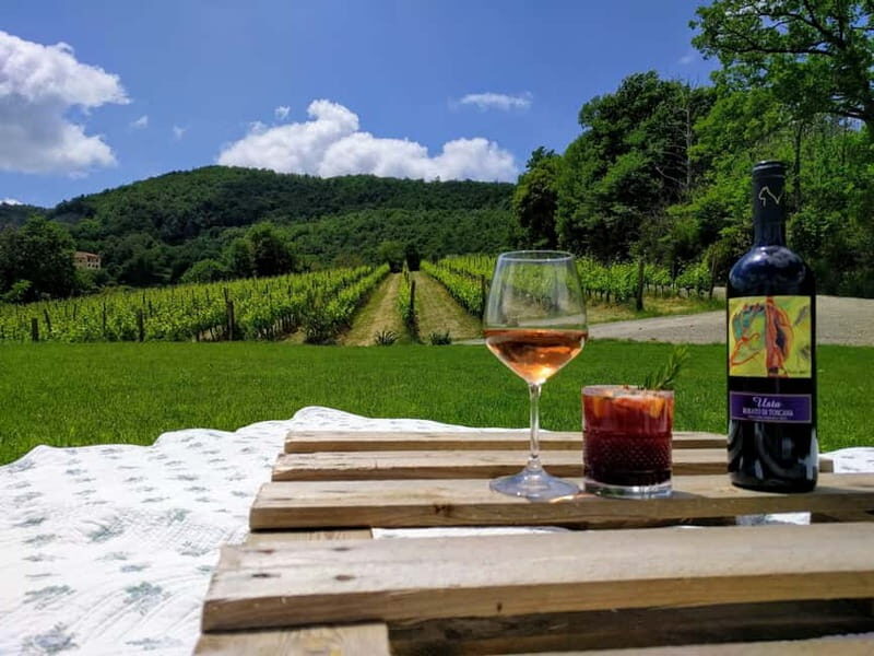 MONTEPULCIANO - PIC NIC WITH WINE! SURROUNDED BY VINEYARDS - Who Is This Experience Best For?