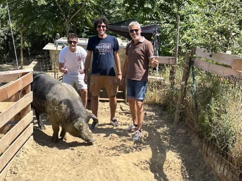 Montepulciano: Pig Farm Tour with Traditional Lunch - Final Thoughts: Is This Tour Right for You?