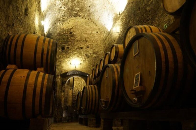 Montepulciano: Wine Tasting and Cellar Tour - Key Points