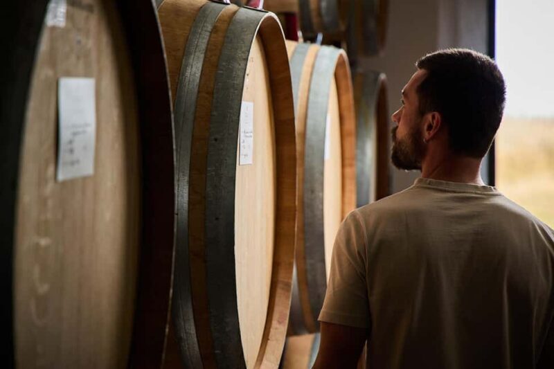 Montepulciano: Wine Tasting - The Sum Up: Who Should Consider This?