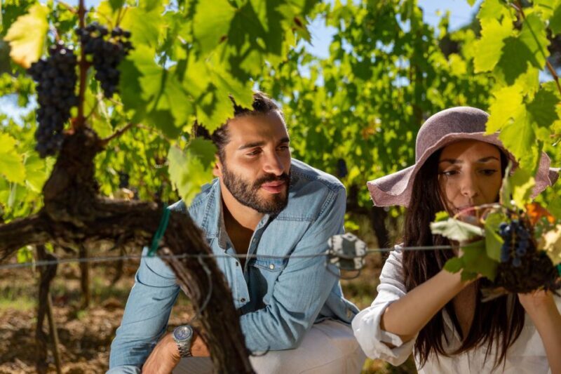 Montepulciano: Wine Tasting with typical Tuscan Cold Cuts - Key Points